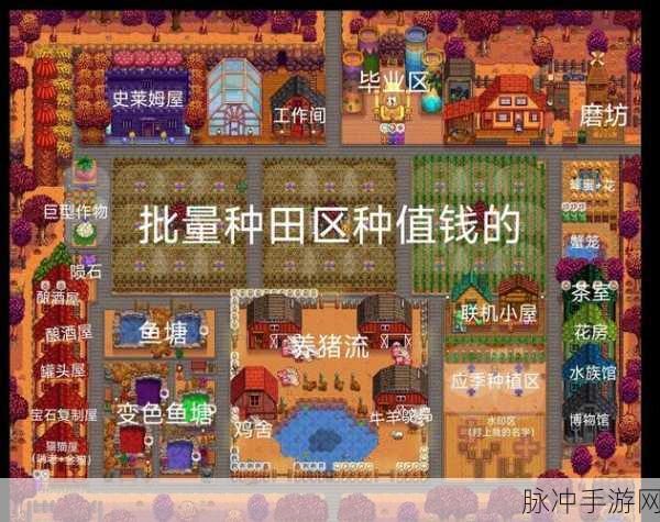 星露谷物语深度攻略,如何高效建筑并管理鸡舍