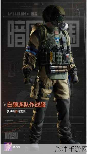 暗区突围手游攻略,如何获取白狼连队头套