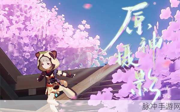 原神早柚命座效果深度解析与实战攻略