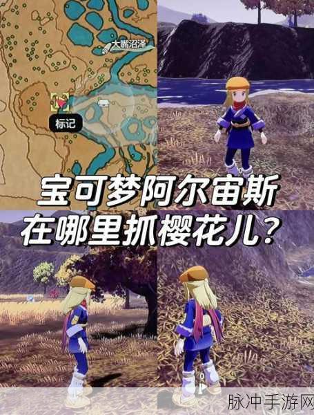 宝可梦传说阿尔宙斯一周目流程全攻略,征服天冠山之巅