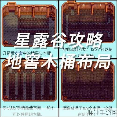 星露谷物语木桶放置全攻略，解锁地窖之外的秘密