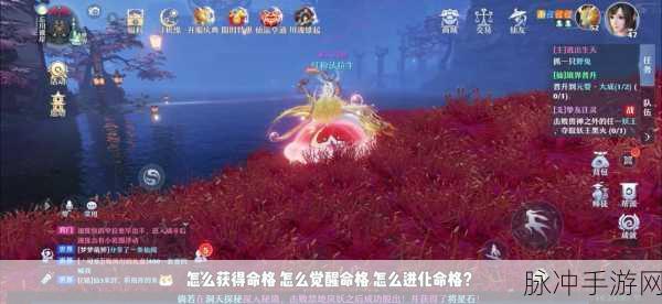 梦幻新诛仙深度揭秘，幻形符的神奇效果与实战应用