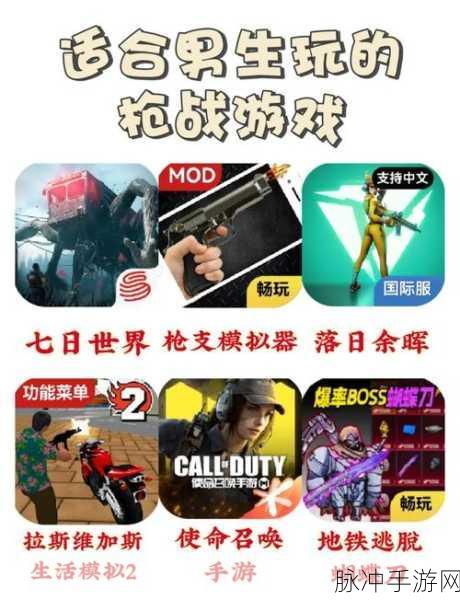 彩弹对决,畅享极致射击乐趣的必备之选