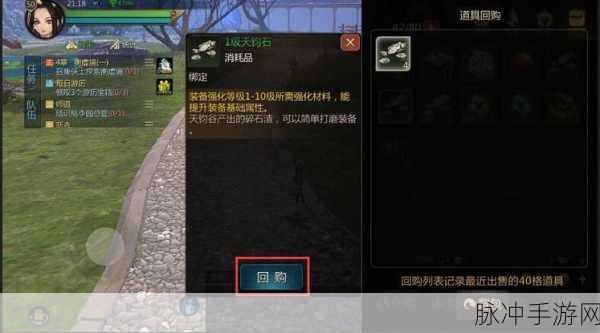 剑侠世界2全面解析,观山亭阁隐藏点高效跳法起始位置指南