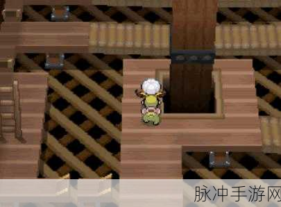 口袋妖怪心金,遗迹拼图之旅的奇幻冒险全攻略