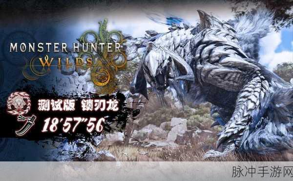 怪物猎人2深度攻略,突破一星挑战,直面二星盾蟹王