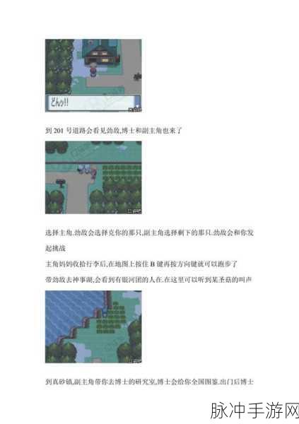 口袋妖怪白金前期精灵选择与攻略指南