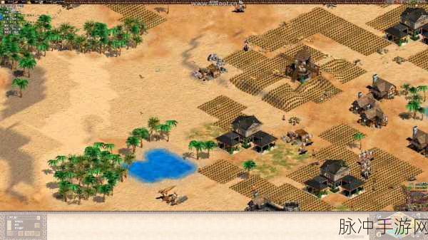 帝国时代2,驻扎战略深度解析与实战影响