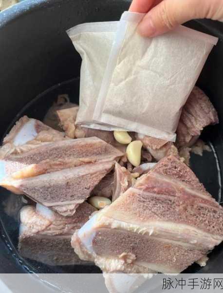 妄想山海肉骨茶制作全攻略,解锁美味与战力的双重提升