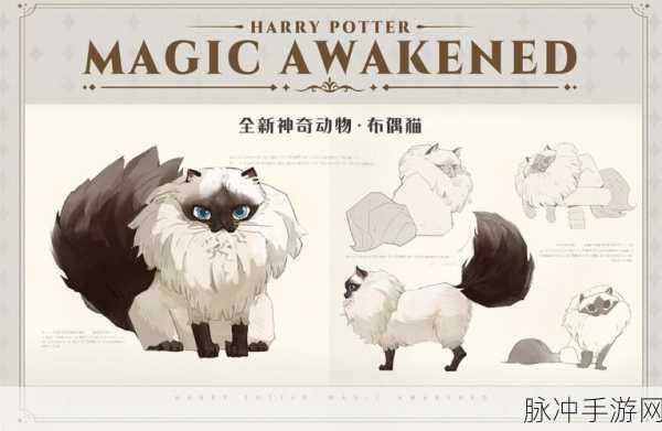 哈利波特魔法觉醒，神奇动物捕捉全攻略