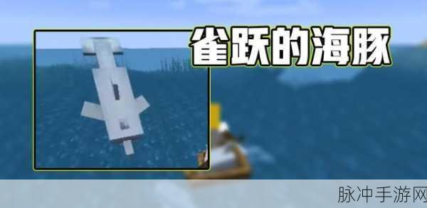 我的世界,探索海豚的骑行与驯服奥秘