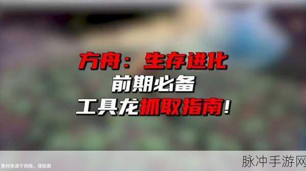 方舟生存进化资源采集工具龙推荐及高效捕捉方法全解析