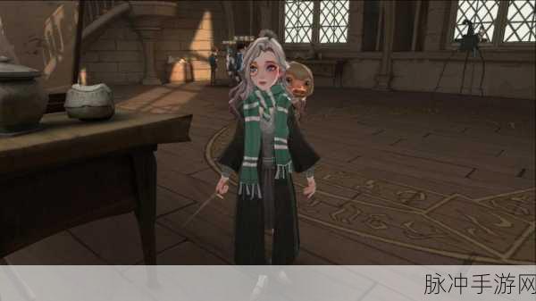 哈利波特魔法觉醒，洛蒂特纳伙伴卡效果深度解析与一览表