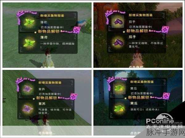 创造与魔法紫苏桂鱼制作全攻略及紫苏位置指南详解