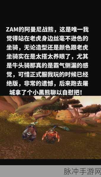 魔兽世界手游探索，解锁那些令人心动的熊型魅力深度攻略