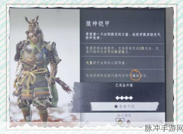 对马岛之魂奇谭模式猎人配装与技能深度解析