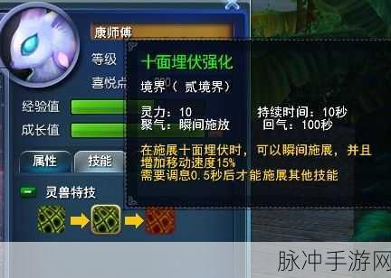 天下HD翎羽元魂搭配全解析,打造极致战斗体验