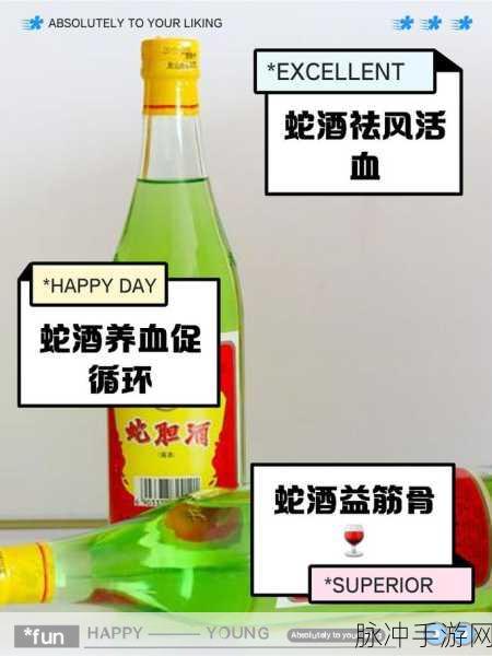 烟雨江湖蛇胆药酒制作秘笈，配方、步骤与效果全解析