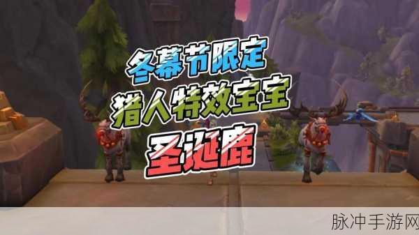 魔兽世界冬幕节宠物任务全攻略