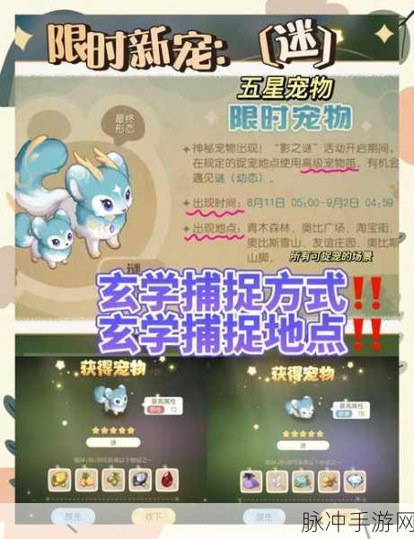 春巫2宠物捕捉大揭秘，20只宠物全攻略详解