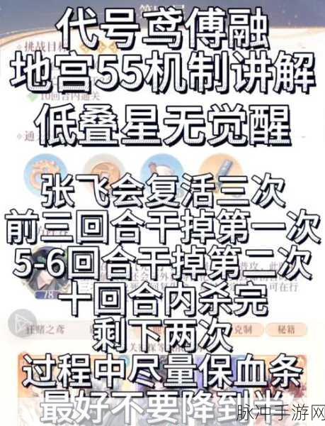 代号鸢地宫第二期55层深度攻略，突破难关，解锁全新挑战