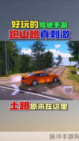 长途自驾模拟游戏下载,探索无限风光,打造你的经营帝国