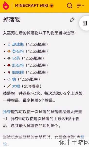 我的世界手游攻略,详解清除女巫的实用策略与指令探讨