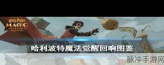 哈利波特手游深度攻略，探索黑衣服教授的神秘魅力与深度