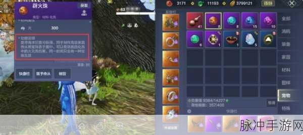 妄想山海手游攻略，全面解析如何为侍从增加寿命