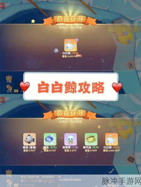 摩尔庄园手游攻略，揭秘白鲸出没的时间与地点