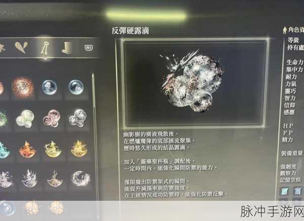 艾尔登法环新玩法深度探索，个性化外观选择大挑战与搭配策略