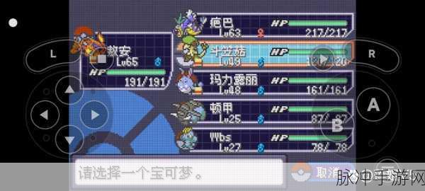 口袋妖怪蓝宝石阵容技能搭配全攻略