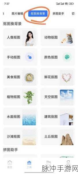 风云岛行动,全面解析小白宠物的获取与养成攻略
