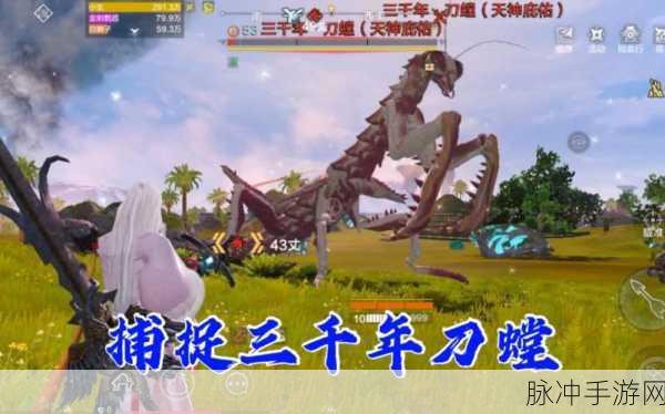 妄想山海刀螳狩猎全攻略，高效刷点揭秘与实战技巧深度剖析