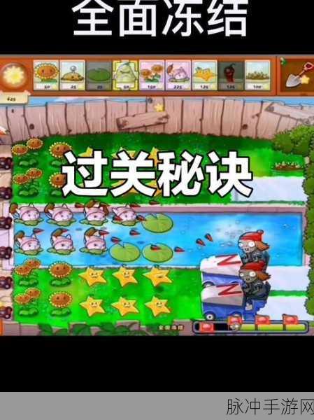 植物大战僵尸,轻松畅玩无需实名绑卡全攻略