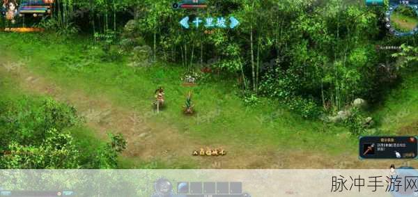 仙剑奇侠传2荆州城除魔大会深度攻略,挑战与机遇的交响曲