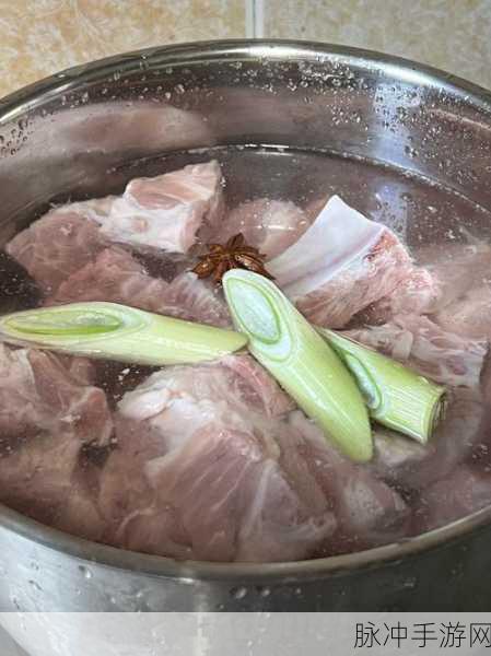 妄想山海大骨炖肉制作方法分享,解锁暖心美味的居家食谱