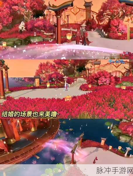 倩女幽魂手游灵兽结婚全攻略,打造灵兽幸福家园