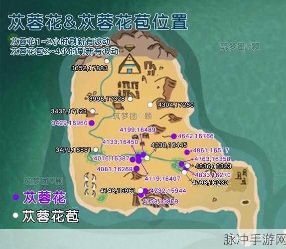 创造与魔法枯骨古战场全面攻略，位置揭秘与战斗指南