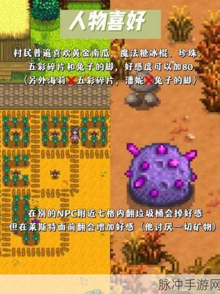 星露谷物语,装备防御力全解析,揭秘最高防御神器