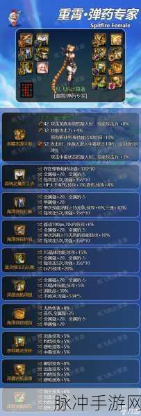 DNF手游弹药武器与弹药类型深度解析
