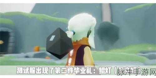 光遇追忆季毕业礼全揭秘，鲲灯获取攻略详解