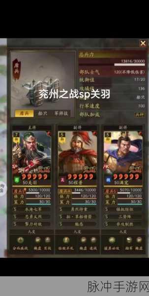 三国志战略版武将重塑全攻略,打造你的专属战将