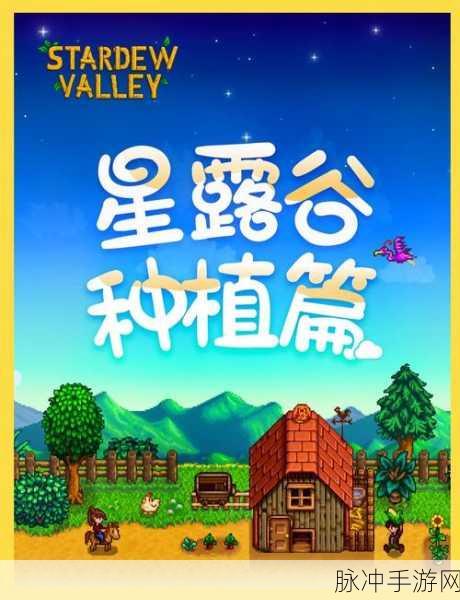 星露谷物语,种植秘诀全揭秘,种地技巧深度解析攻略指南