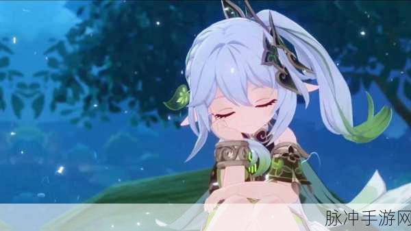 原神风花节研究报告留影任务全攻略,捕捉节日的美好瞬间