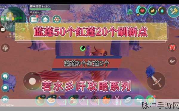 创造与魔法，红莲蓝莲刷新点全攻略