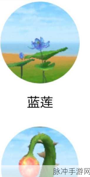 创造与魔法,红莲蓝莲刷新点全攻略