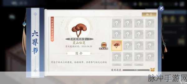 新仙剑奇侠传之挥剑问情第八章宝箱位置全面汇总