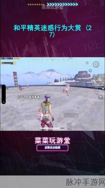 和平精英,娱乐模式大赏,揭秘我最钟爱的玩法