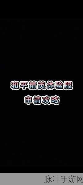和平精英抢先服全面攻略，如何顺利进入并畅享体验